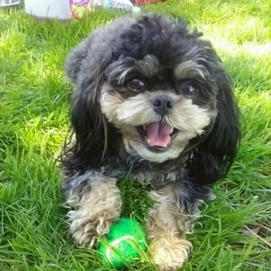 Meet your Posher, Michael